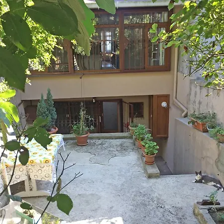Bosphorus Sariyer Villa *